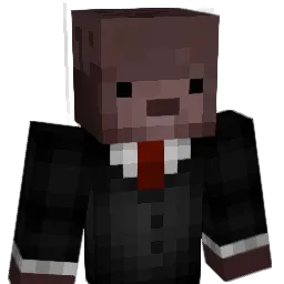 Griffin40 Minecraft avatar bust