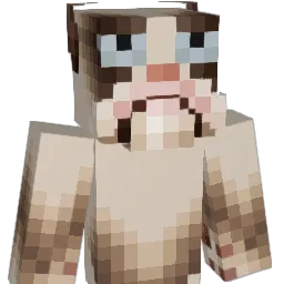 Grumpy_Cat_125 Minecraft avatar bust