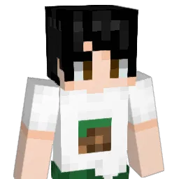 GrzesF0910 Minecraft avatar bust