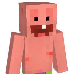 GudiChawaa_ Minecraft avatar bust