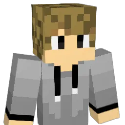 Gui_ninja_1 Minecraft avatar bust