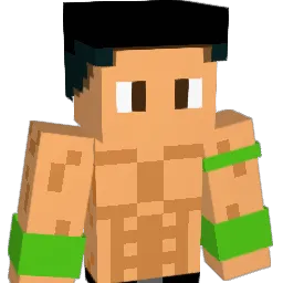 Guigui33220 Minecraft avatar bust