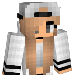 Guille556 Minecraft avatar bust