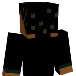 Gurshaan16 Minecraft avatar bust