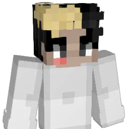 H00DP0PE Minecraft avatar bust