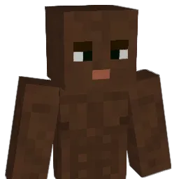 H0lliZz Minecraft avatar bust