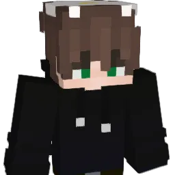H0oD1E_ Minecraft avatar bust