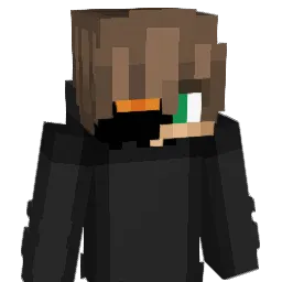 H1gh_Light Minecraft avatar bust
