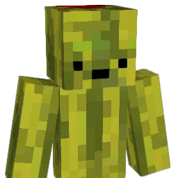 H20Melon Minecraft avatar bust