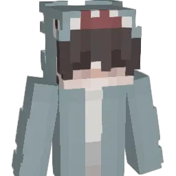 H20____'s Minecraft skin
