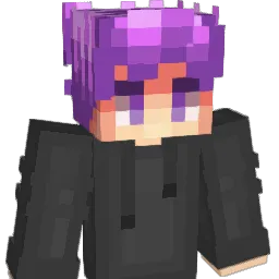 H3JR0N3K Minecraft avatar bust