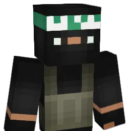 H4m4sParaglider Minecraft avatar bust