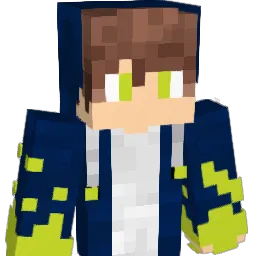H6S9 Minecraft avatar bust