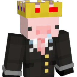 HAMMIE208 Minecraft avatar bust