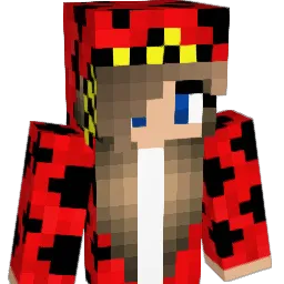 HANA2013 Minecraft avatar bust