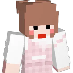 HAN_33 Minecraft avatar bust