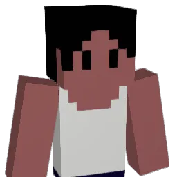 HASHI2 Minecraft avatar bust