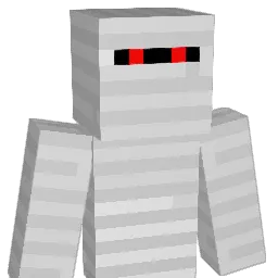 HB_Craft Minecraft avatar bust