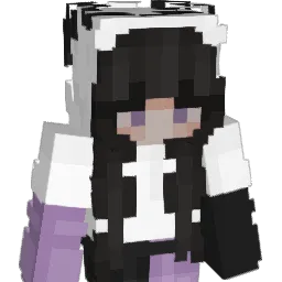HC64 Minecraft avatar bust