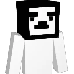 HDMIIIK Minecraft avatar bust