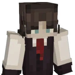 HDStorage Minecraft avatar bust