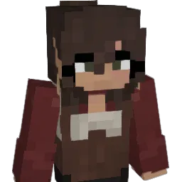 HDTV_2020 Minecraft avatar bust