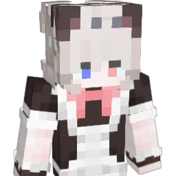 HD_SSN's Minecraft skin