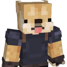 HEECTOR17 Minecraft avatar bust