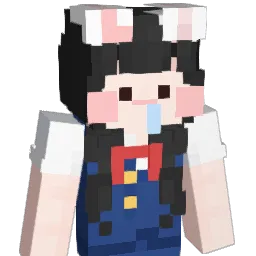 HEE_DONG2 Minecraft avatar bust