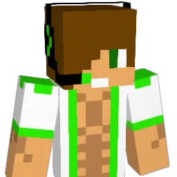 HENGSTKARINO Minecraft avatar bust