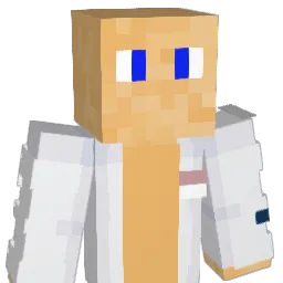 HENRYGAMING34 Minecraft avatar bust