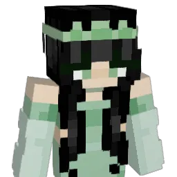 HEO_OP1234 Minecraft avatar bust