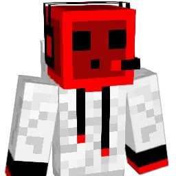 HERKRINA Minecraft avatar bust