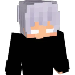 HF0X Minecraft avatar bust