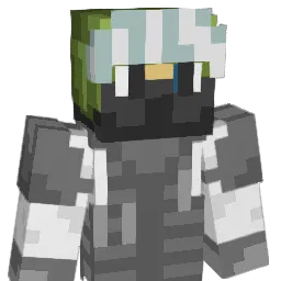 HGDFM Minecraft avatar bust