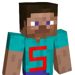 HGSTEVE Minecraft avatar bust