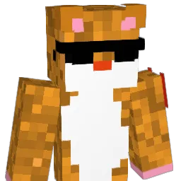 HHAAMMSSTTEERR1