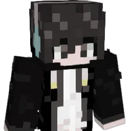 HHT32222 Minecraft avatar bust