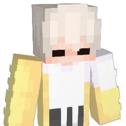 HIDONI_ Minecraft avatar bust
