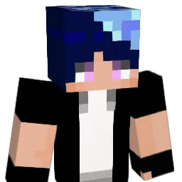 HIKARI246 Minecraft avatar bust