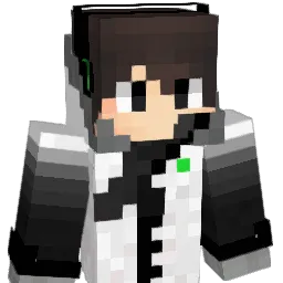 HINOTAMA_BOY Minecraft avatar bust