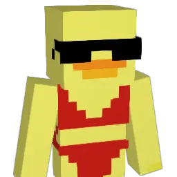 HIROOO0 Minecraft avatar bust