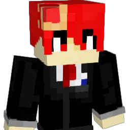 HIsoft Minecraft avatar bust