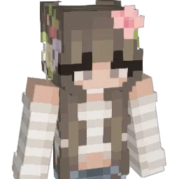 HJCOCO1