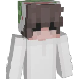 HKHimHim Minecraft avatar bust