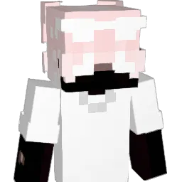 HKQQ Minecraft avatar bust