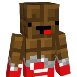 HK_504 Minecraft avatar bust