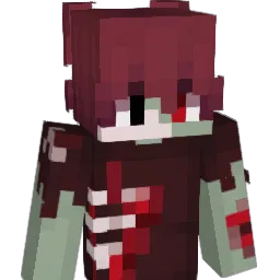 HK_Shockwave Minecraft avatar bust