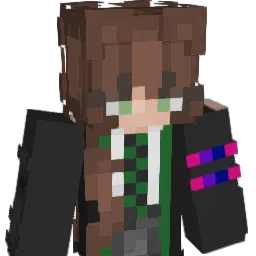 HLGXX Minecraft avatar bust