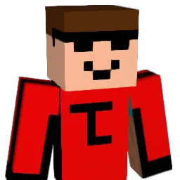 HLLA999 Minecraft avatar bust